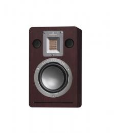 Audiovector QR on/ in WALL Walnut